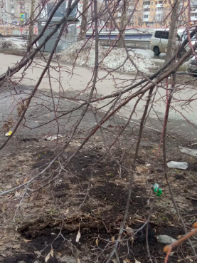 Фото Новосибирцы массово делятся фото грязного города. ОНЛАЙН 9